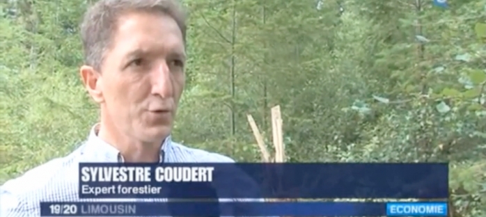 Sylvestre Coudert - Expert Forestier du Cabinet Coudert